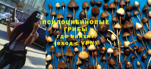 крисы Аркадак