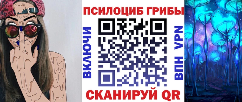где купить наркотик  Чудово  Галлюциногенные грибы MAGIC MUSHROOMS 