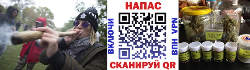 Бошки марихуана тримм  где купить наркоту  Чудово 
